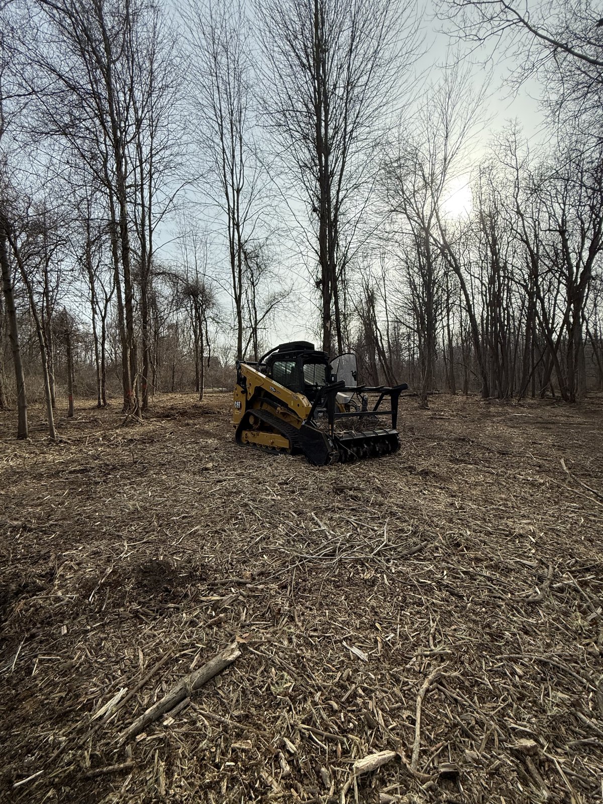 After: clean mulched ground, same day